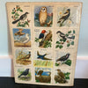 Golden Play Book of Bird Stamps Complete 1953 Vintage