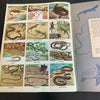 Golden Stamp Book of Snakes Turtles and Lizards Complete Unused 1971 Vintage